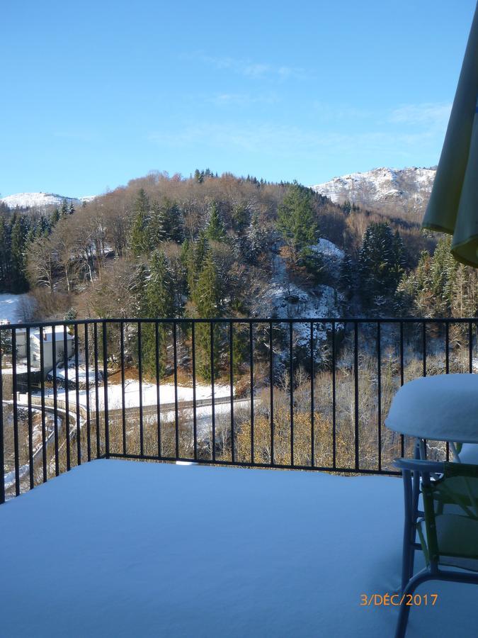 Logis Hotel Les Tilleuls Saint-Cirgues-de-Jordanne Kültér fotó